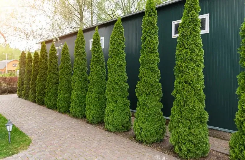 Expert residential landscaping for residential properties across Nipomo, CA - Montes de Oca Gardening