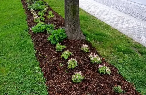 Trusted yard maintenance with custom design across Nipomo, CA - Montes de Oca Gardening