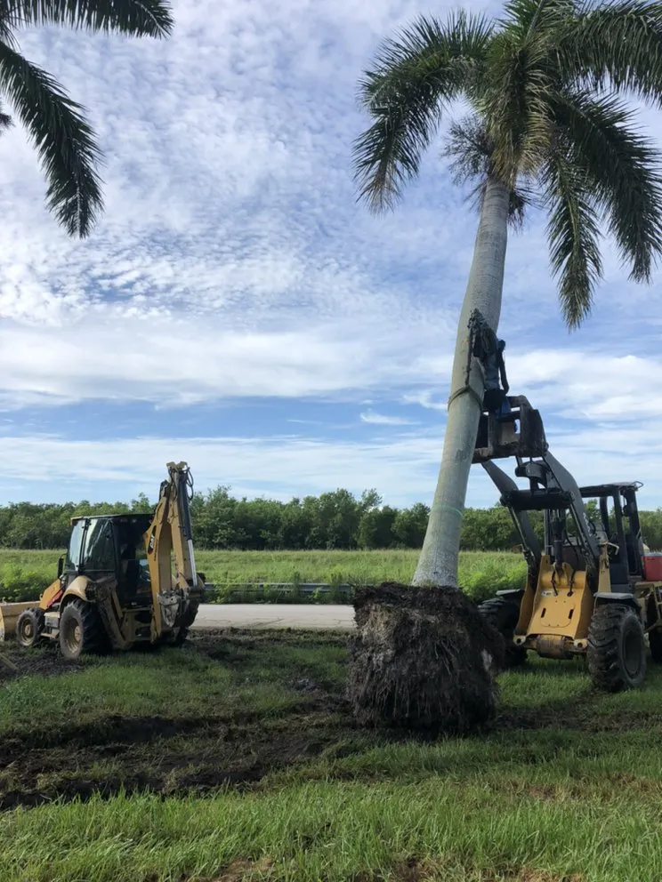 Reliable landscape design for residential properties in Miami, FL by Montes Equipment