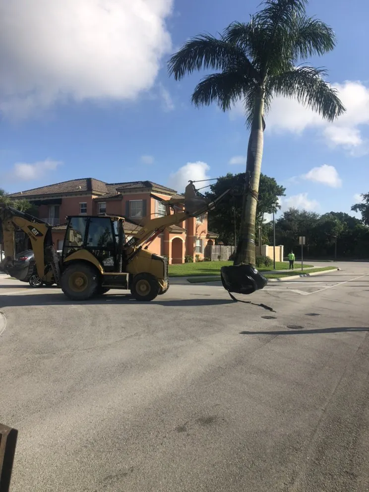 Affordable lawn care service for homes across Miami, FL - Montes Equipment