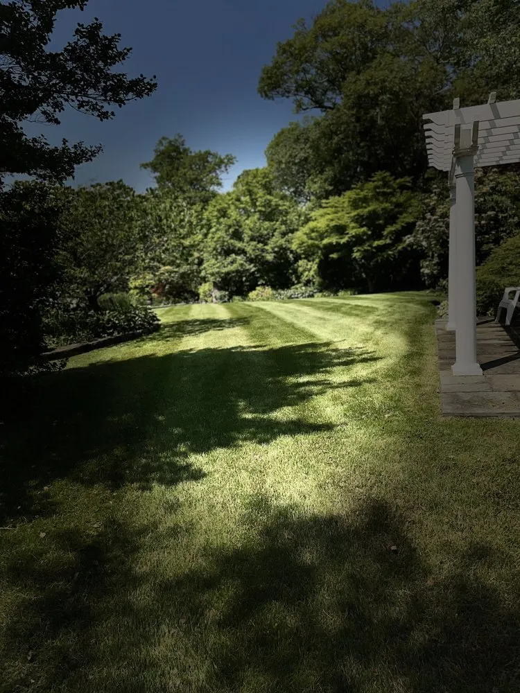 Expert yard maintenance for outdoor upgrades across Ossining, NY - Montes Landscape & Tree Service