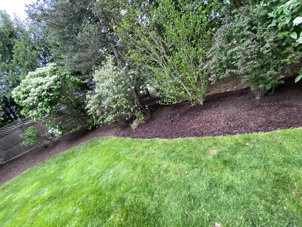 Custom yard cleanup service experts serving Ossining, NY - Montes Landscape & Tree Service