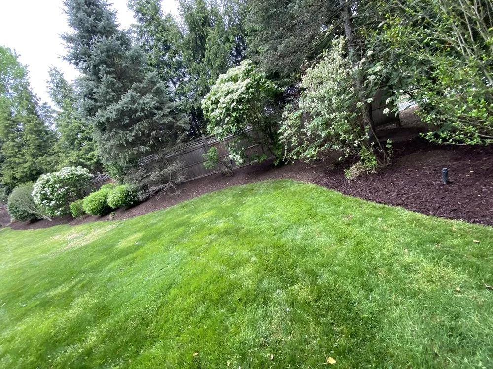 Trusted landscape design in Ossining, NY - Montes Landscape & Tree Service