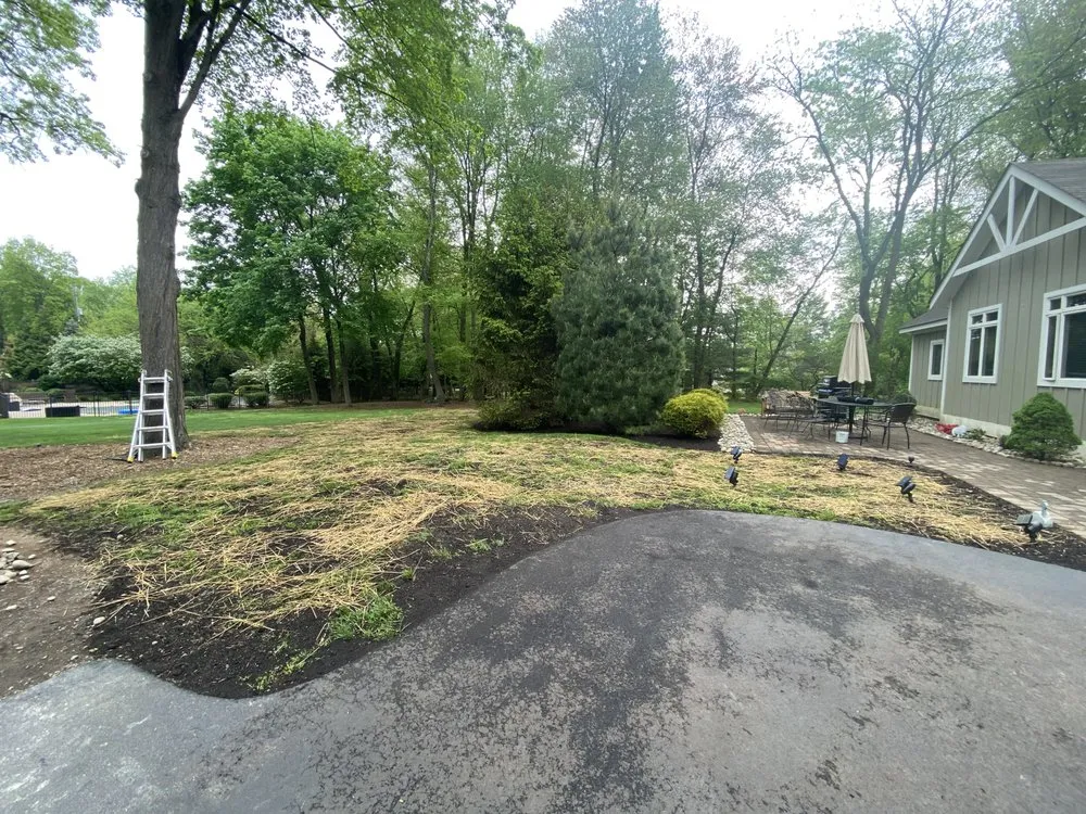 Local yard cleanup service in Ossining, NY by Montes Landscape & Tree Service