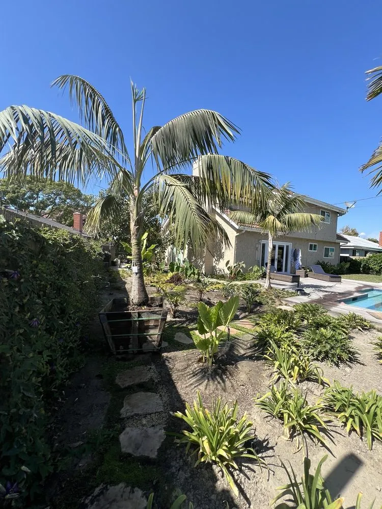 Professional landscaping services experts serving Reseda, CA - Montes Landscape