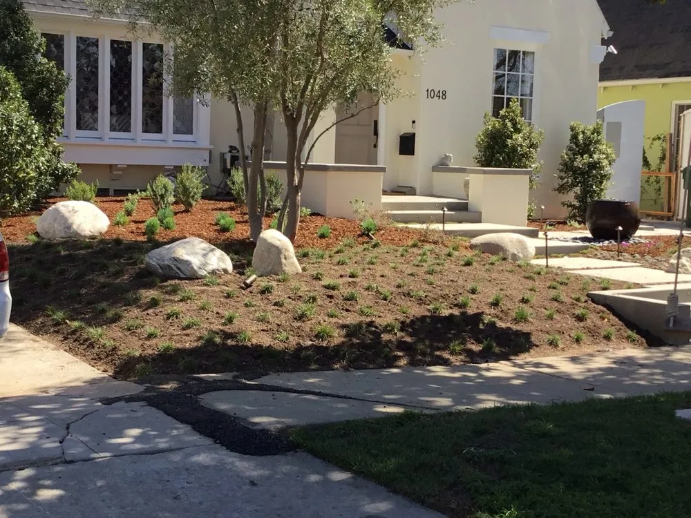 Affordable yard cleanup service in Reseda, CA by Montes Landscape