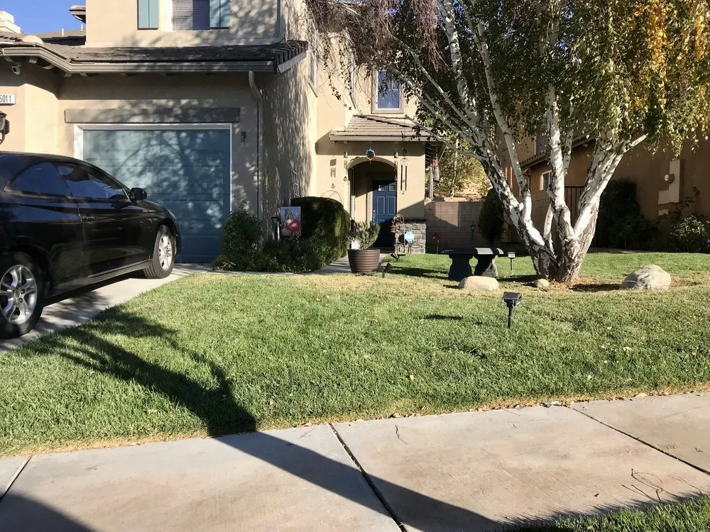Reliable outdoor landscaping for year-round maintenance in Reseda, CA by Montes Landscape