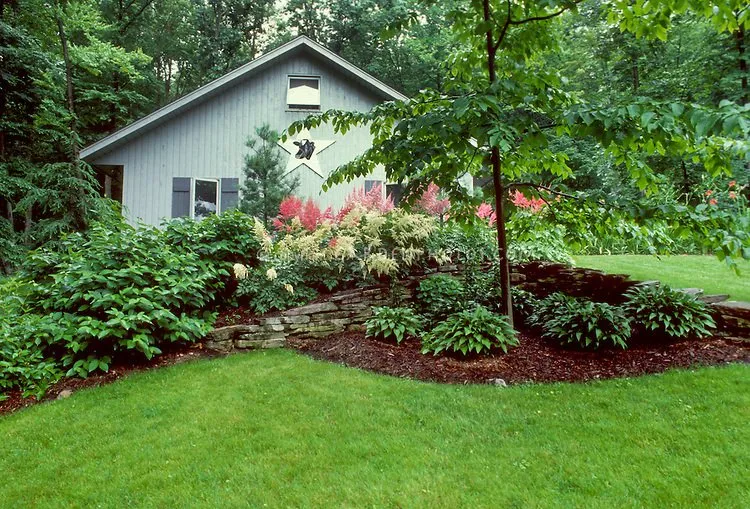 Affordable landscaping services experts serving Carson City, NV - Montes Landscaping
