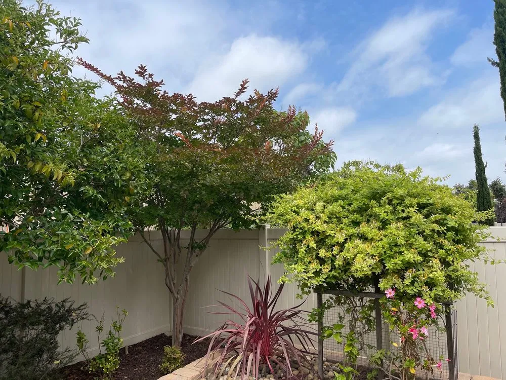 Reliable lawn mowing service experts serving Isla Vista, CA - Montes Landscaping