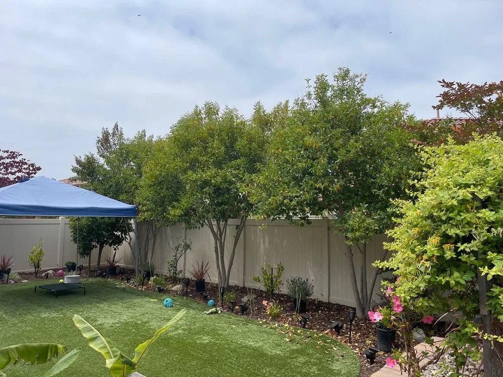 Custom lawn care service for outdoor upgrades in Isla Vista, CA by Montes Landscaping