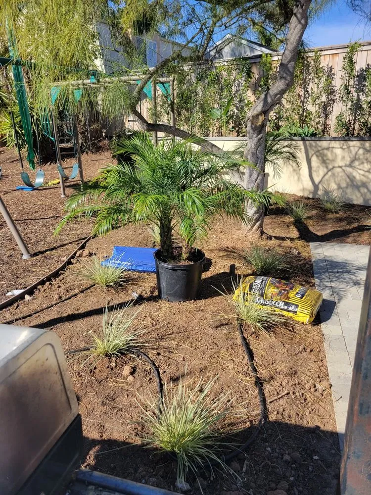 Trusted landscaping services in Isla Vista, CA by Montes Landscaping