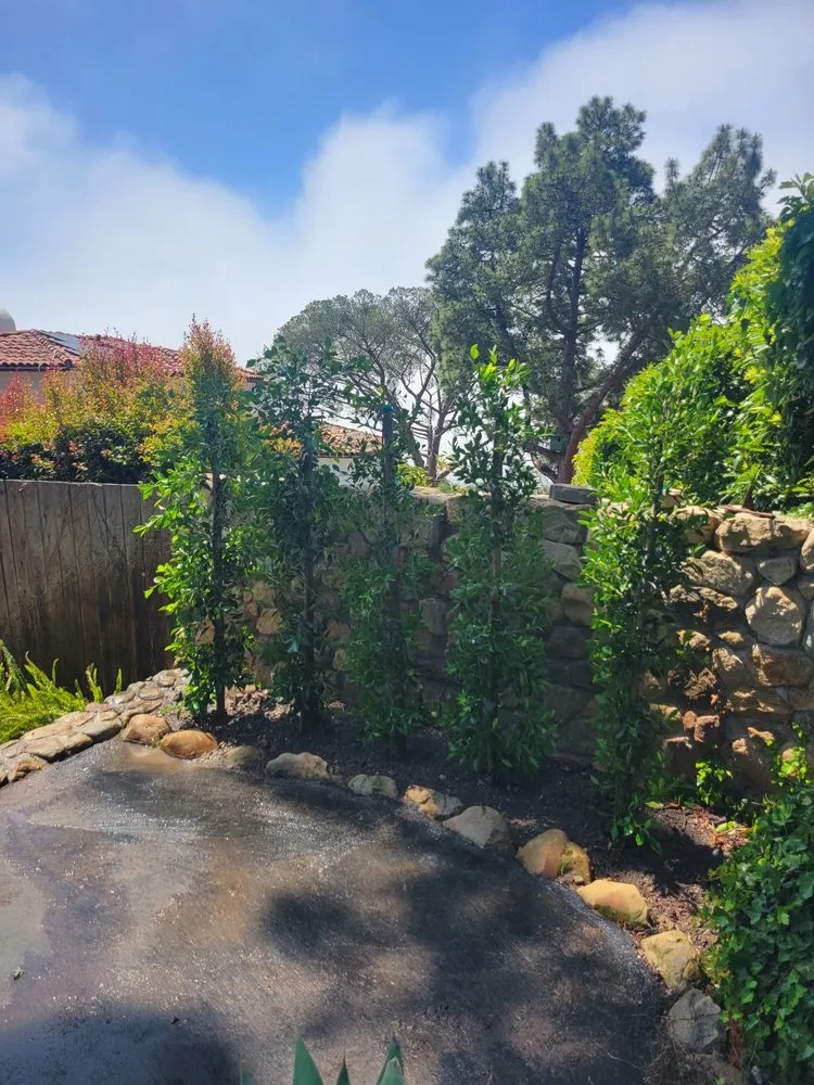 Local landscape design for residential properties across Isla Vista, CA - Montes Landscaping