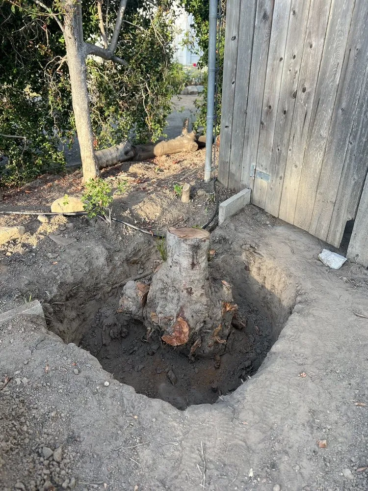 Custom landscape installation with custom design across Isla Vista, CA - Montes Landscaping