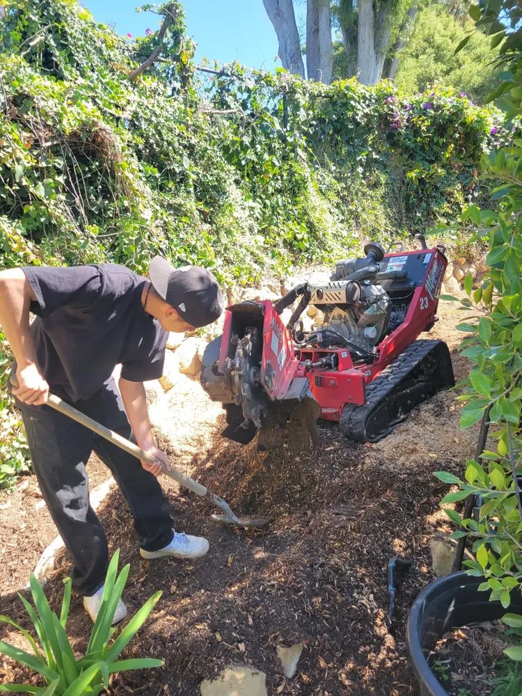 Trusted landscape installation in Isla Vista, CA by Montes Landscaping