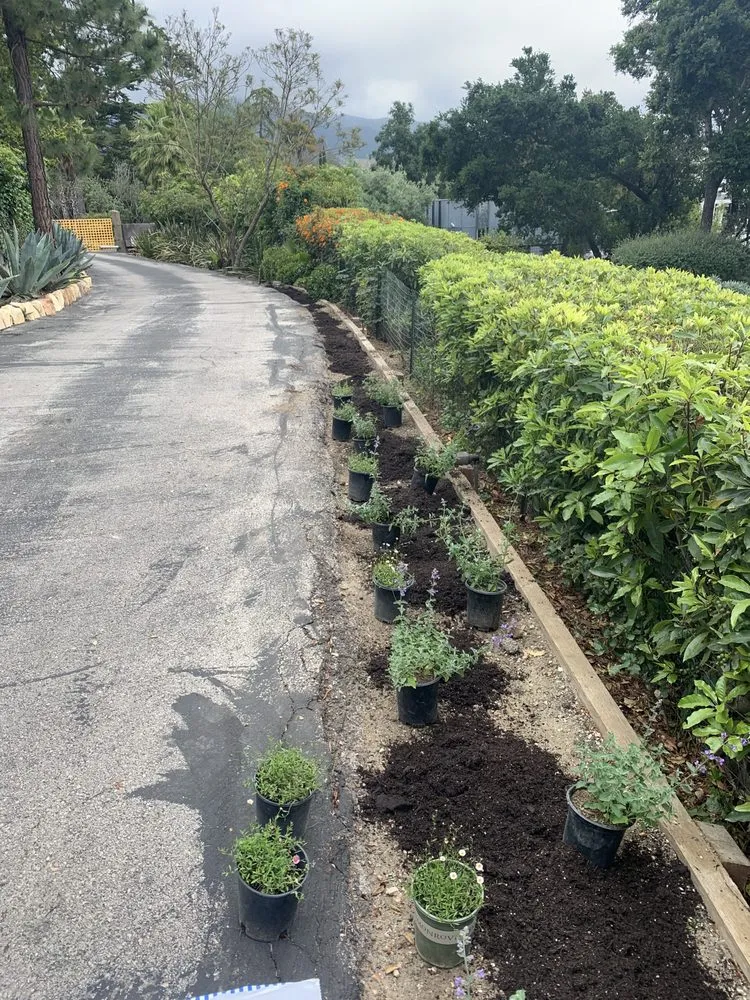 Trusted landscape design for residential properties across Isla Vista, CA - Montes Landscaping