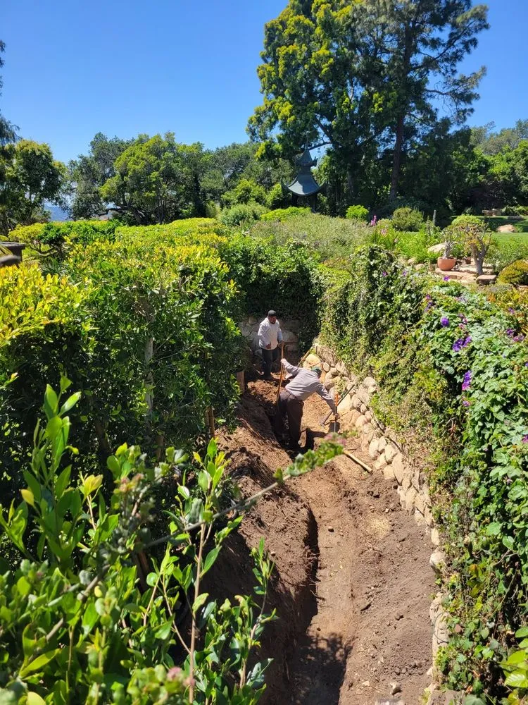 Reliable lawn care service in Isla Vista, CA - Montes Landscaping