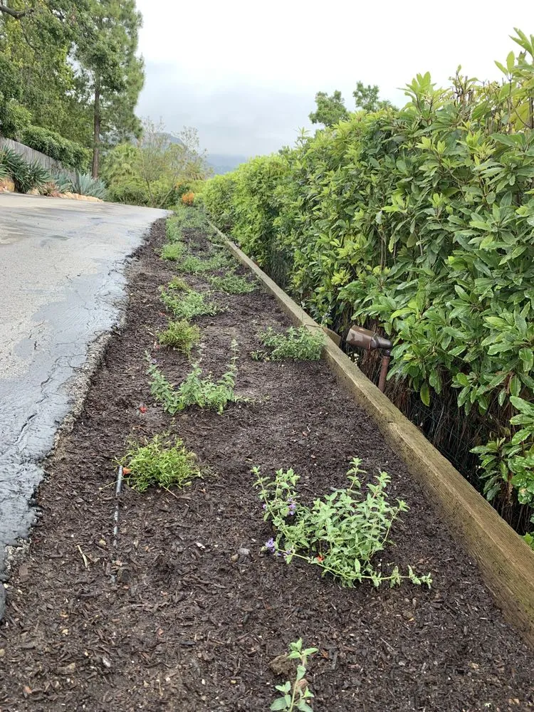 Trusted outdoor landscaping experts serving Isla Vista, CA - Montes Landscaping