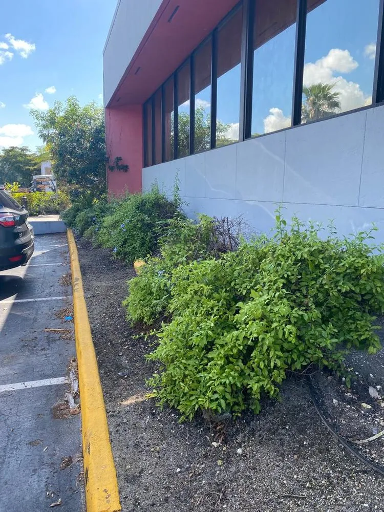 Affordable landscape installation for residential properties across Hialeah, FL - Montes Landscaping Service