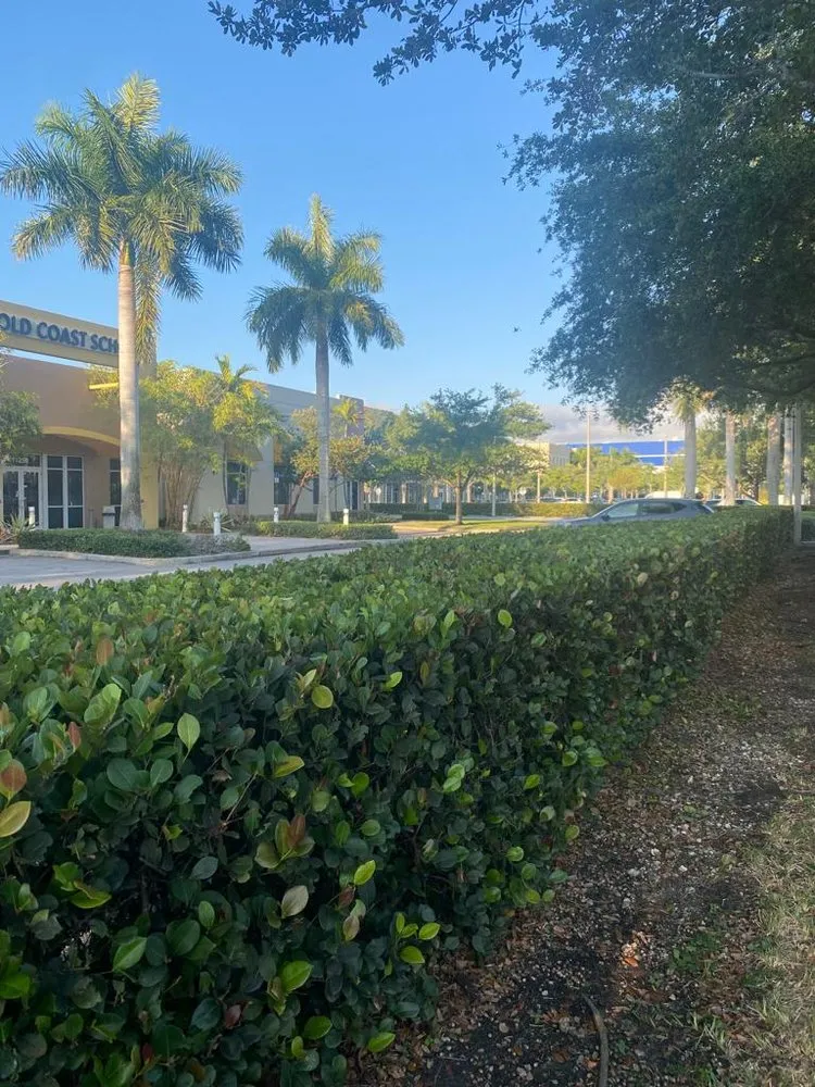 Affordable yard cleanup service in Hialeah, FL by Montes Landscaping Service