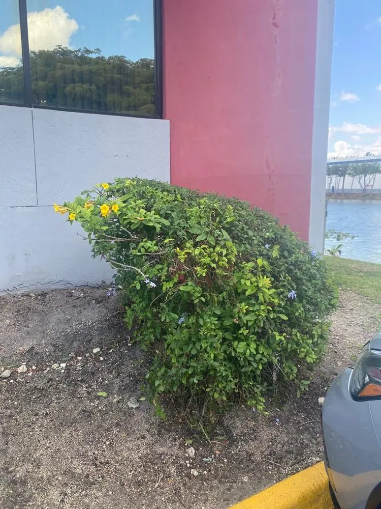 Trusted landscaping services for residential properties in Hialeah, FL by Montes Landscaping Service