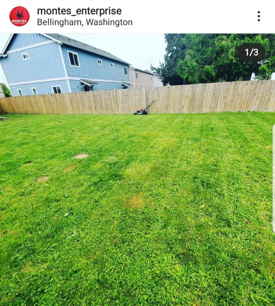 Top-rated residential landscaping for outdoor upgrades in Lynden, WA by Montes Lawn Care & Landscape