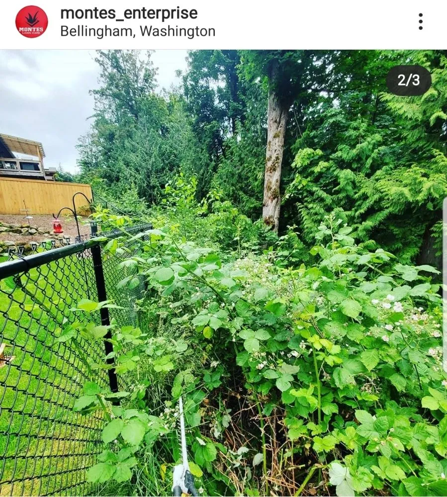 Reliable residential landscaping for residential properties across Lynden, WA - Montes Lawn Care & Landscape