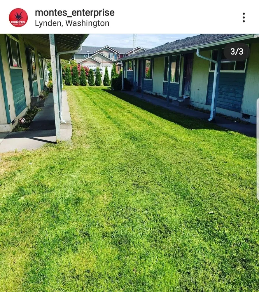 Expert lawn mowing service in Lynden, WA by Montes Lawn Care & Landscape