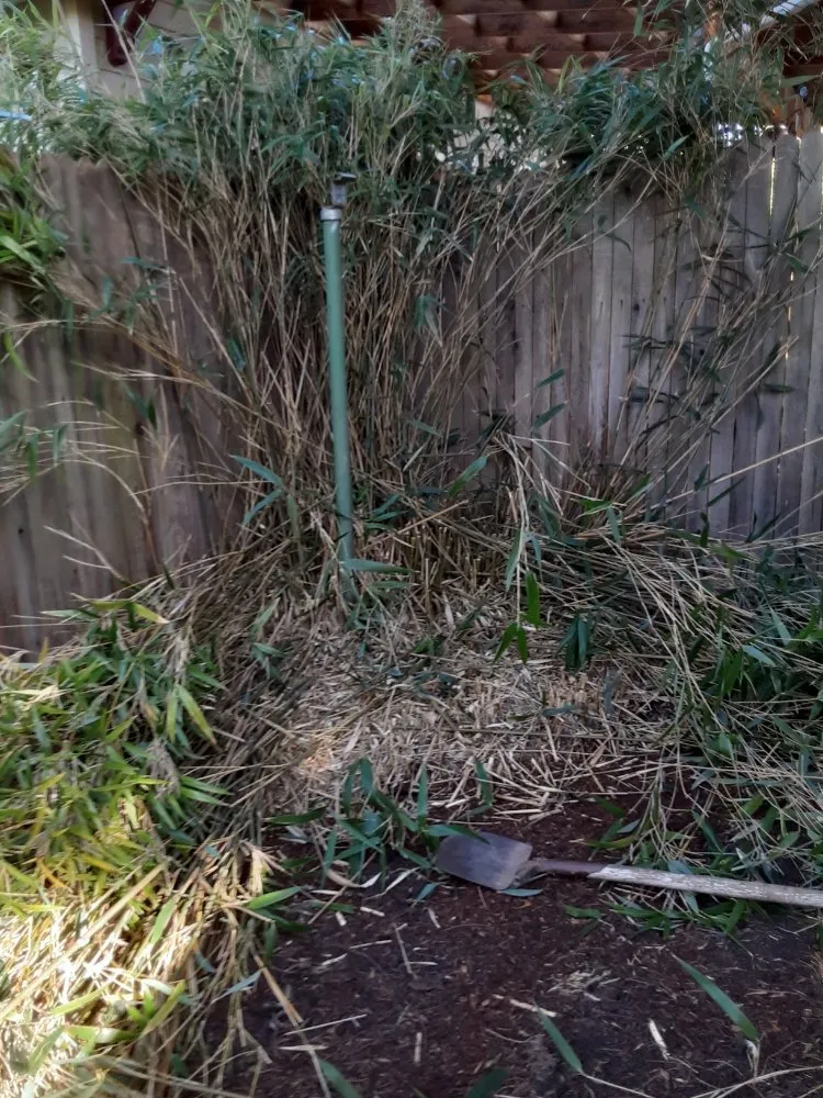 Professional landscape design for homes across Salem, OR - Montes Maintenance