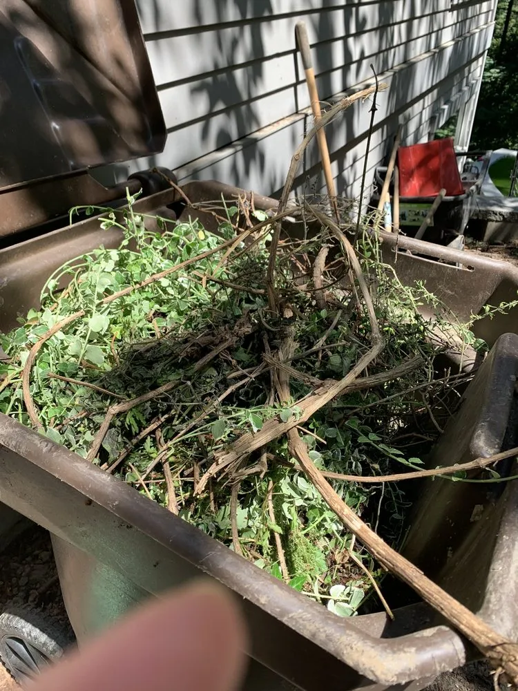 Local landscape design experts serving Salem, OR - Montes Maintenance