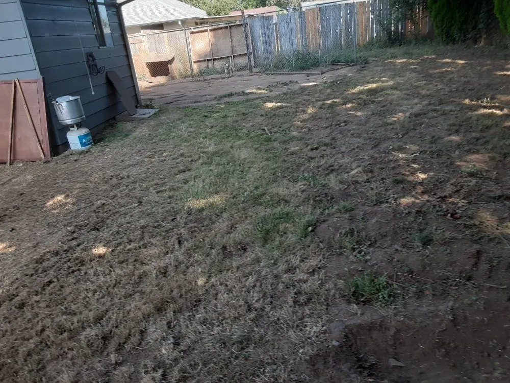 Professional yard cleanup service with custom design in Salem, OR by Montes Maintenance