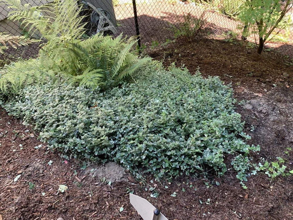 Top-rated landscaping services in Salem, OR - Montes Maintenance