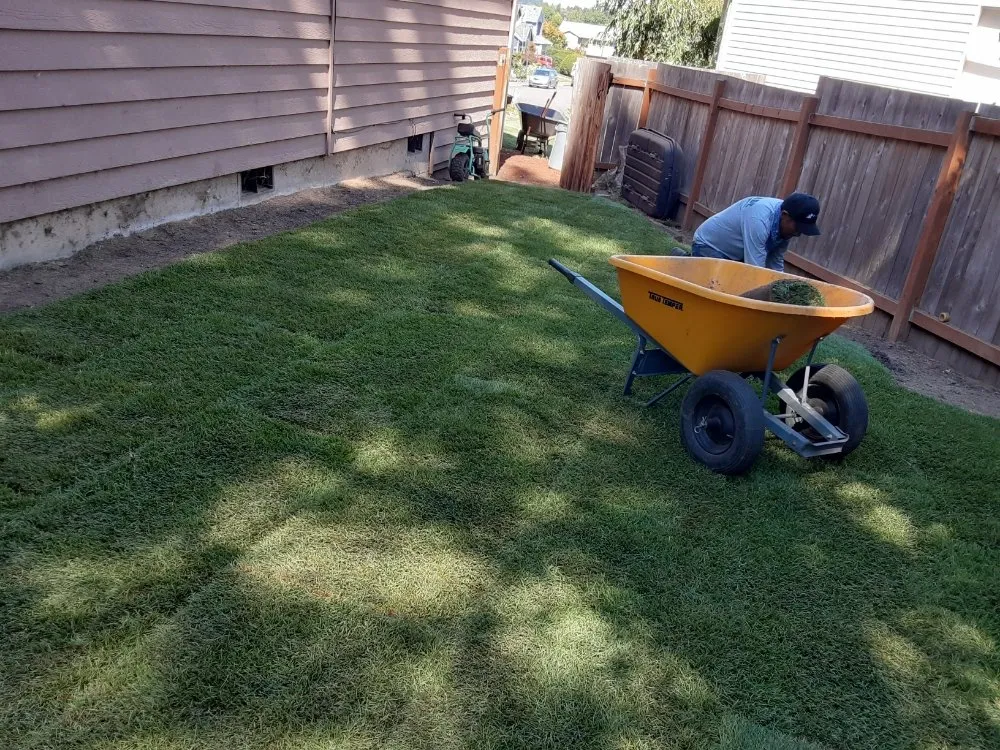 Affordable lawn care service in Salem, OR - Montes Maintenance