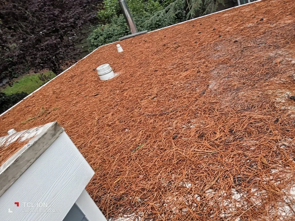Affordable yard maintenance in Salem, OR - Montes Maintenance
