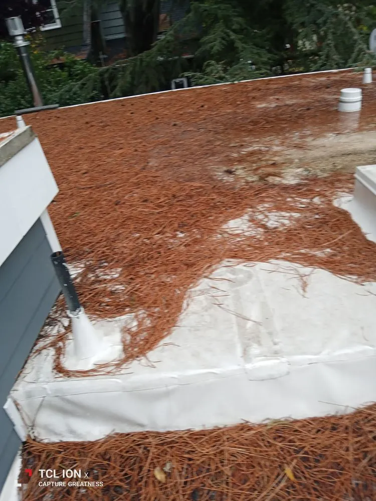 Expert landscaping services in Salem, OR - Montes Maintenance