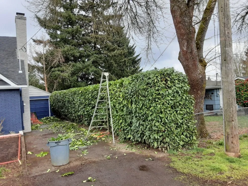 Custom garden landscaping near you in Salem, OR by Montes Maintenance