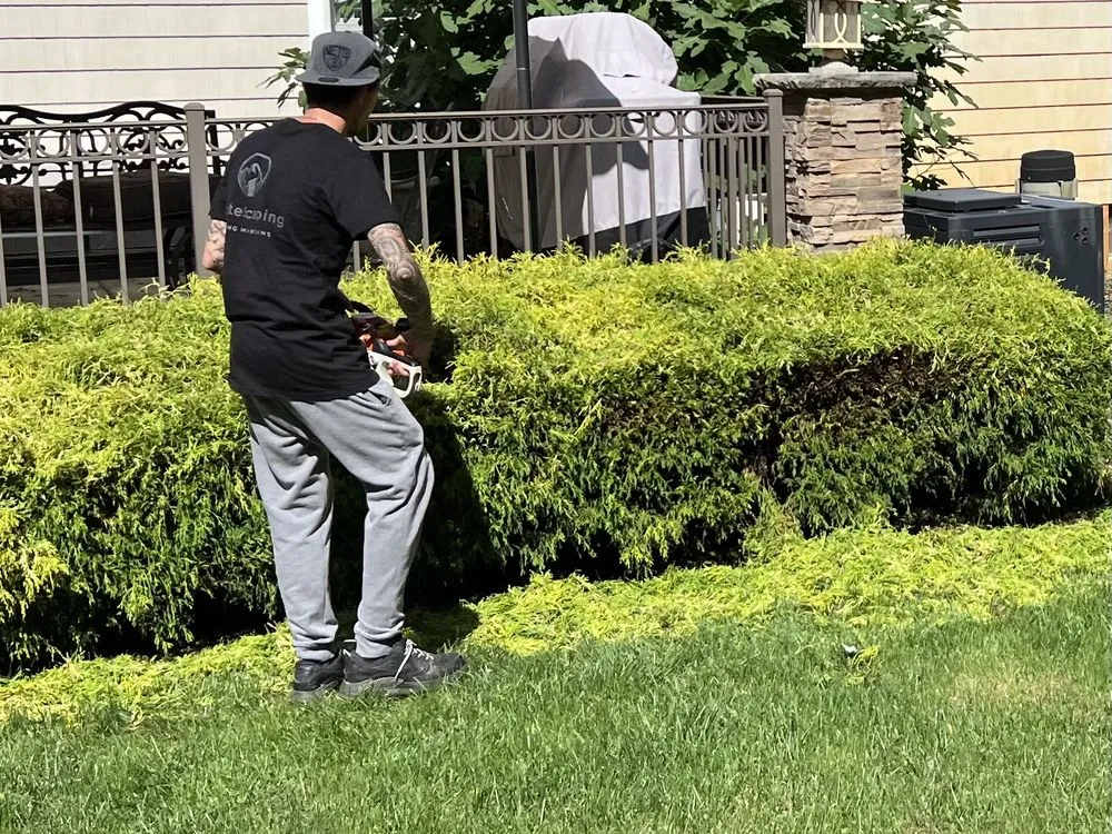 Top-rated landscape installation for year-round maintenance in Hazlet, NJ by Montescaping