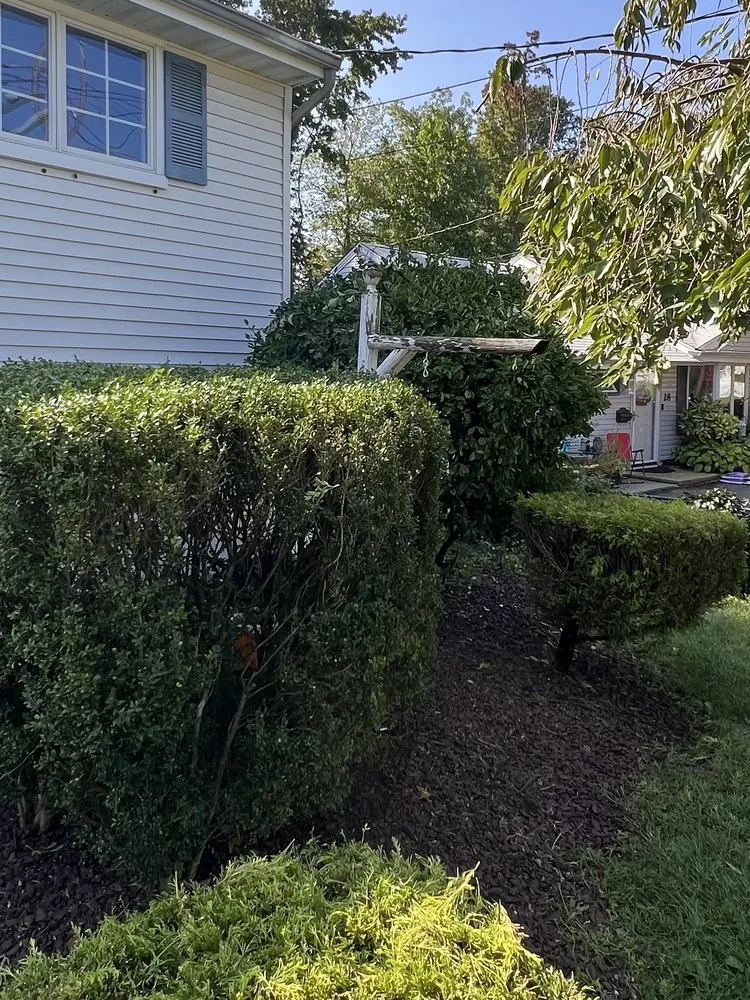 Reliable residential landscaping in Hazlet, NJ by Montescaping