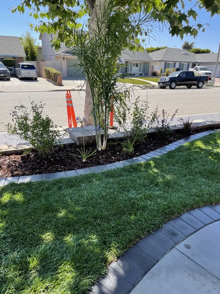 Professional residential landscaping in Oxnard, CA - Montesinos Landscape and Concrete