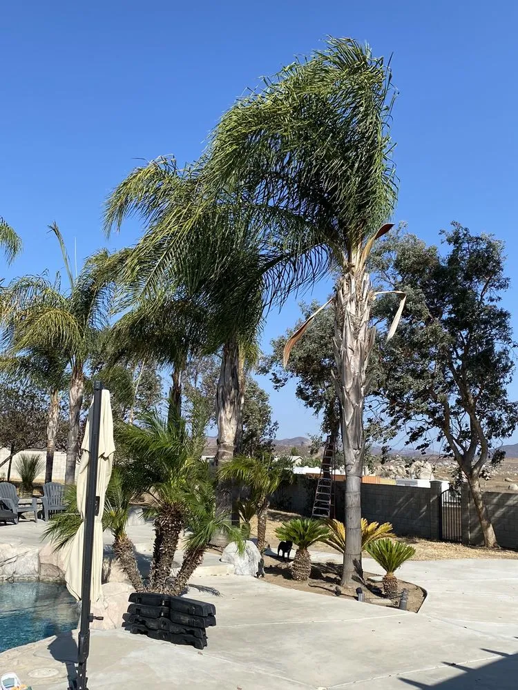 Trusted landscaping services for homes in Winchester, CA by Montesinos Landscape