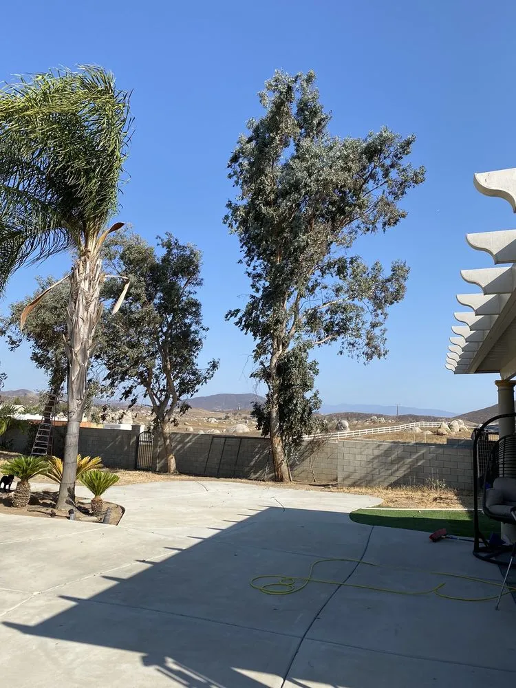 Affordable landscape installation in Winchester, CA by Montesinos Landscape