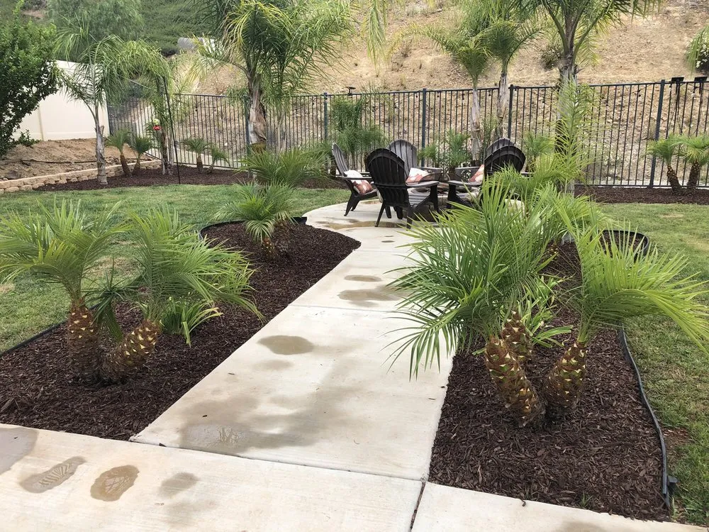 Reliable yard maintenance in Winchester, CA by Montesinos Landscape