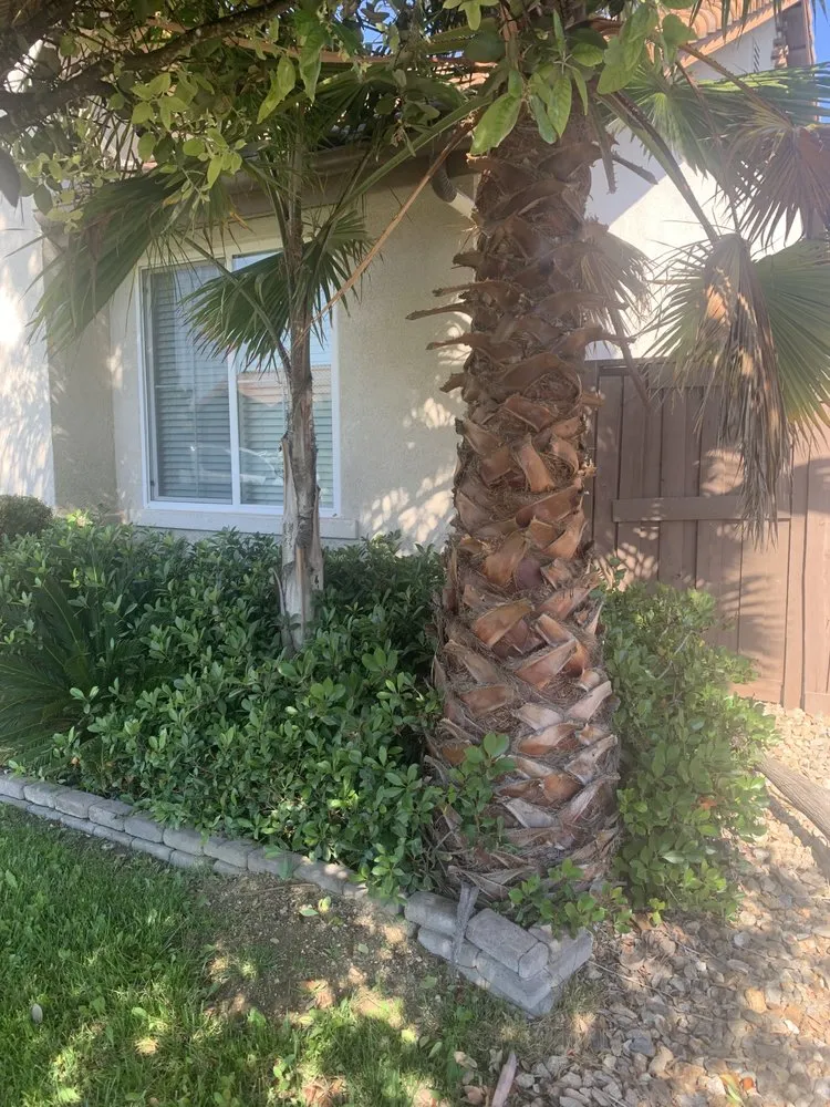 Local garden landscaping in Winchester, CA by Montesinos Landscape