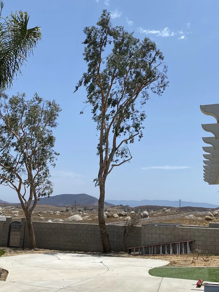 Affordable outdoor landscaping in Winchester, CA by Montesinos Landscape