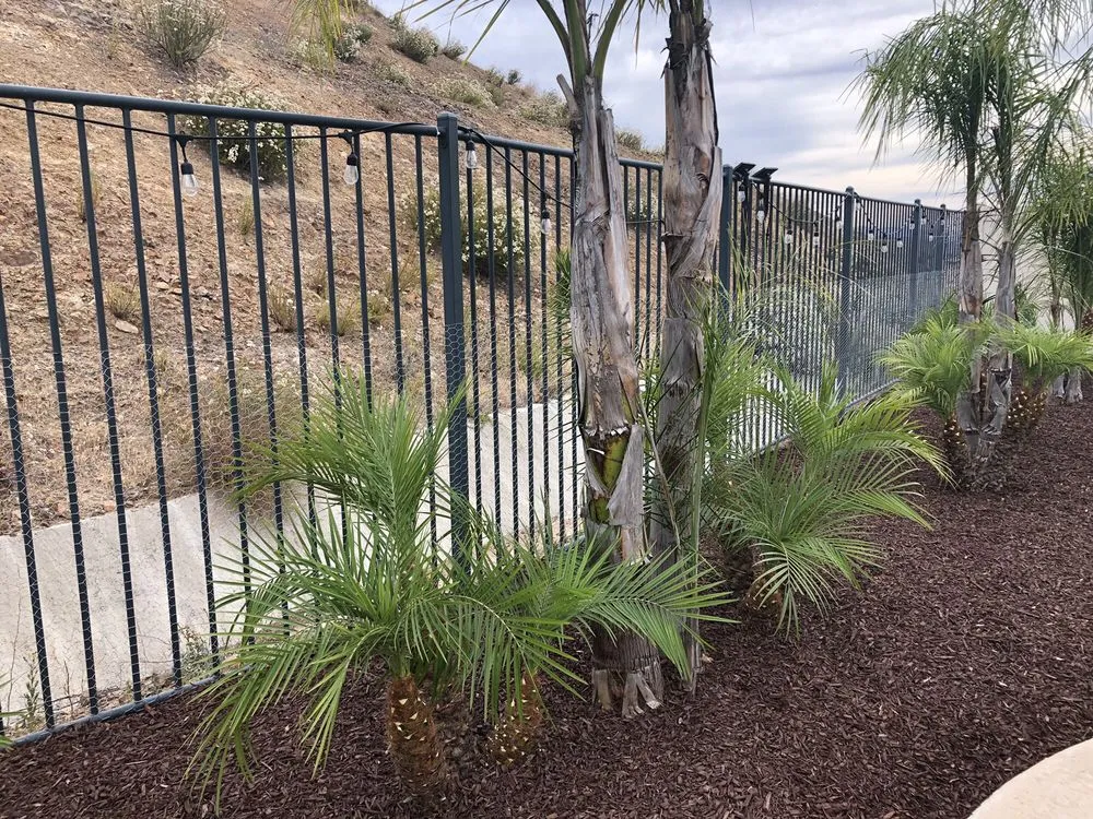 Professional lawn mowing service in Winchester, CA by Montesinos Landscape