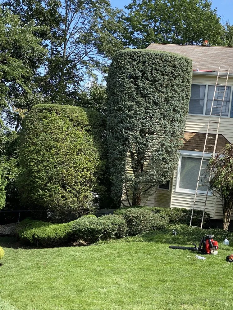 Trusted yard cleanup service in Thiells, NY - Monteverde Landscaping