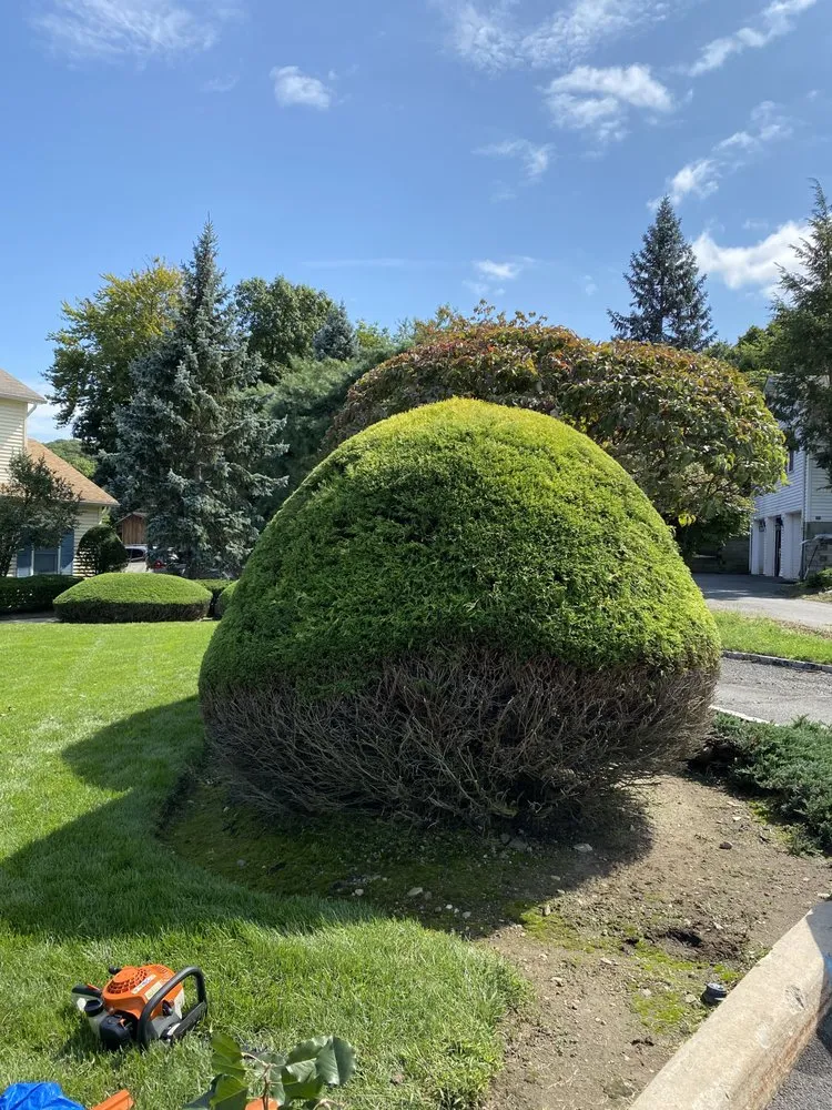 Local lawn mowing service experts serving Thiells, NY - Monteverde Landscaping