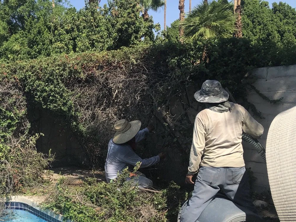 Affordable lawn care service experts serving Cathedral City, CA - Montez Landscaping