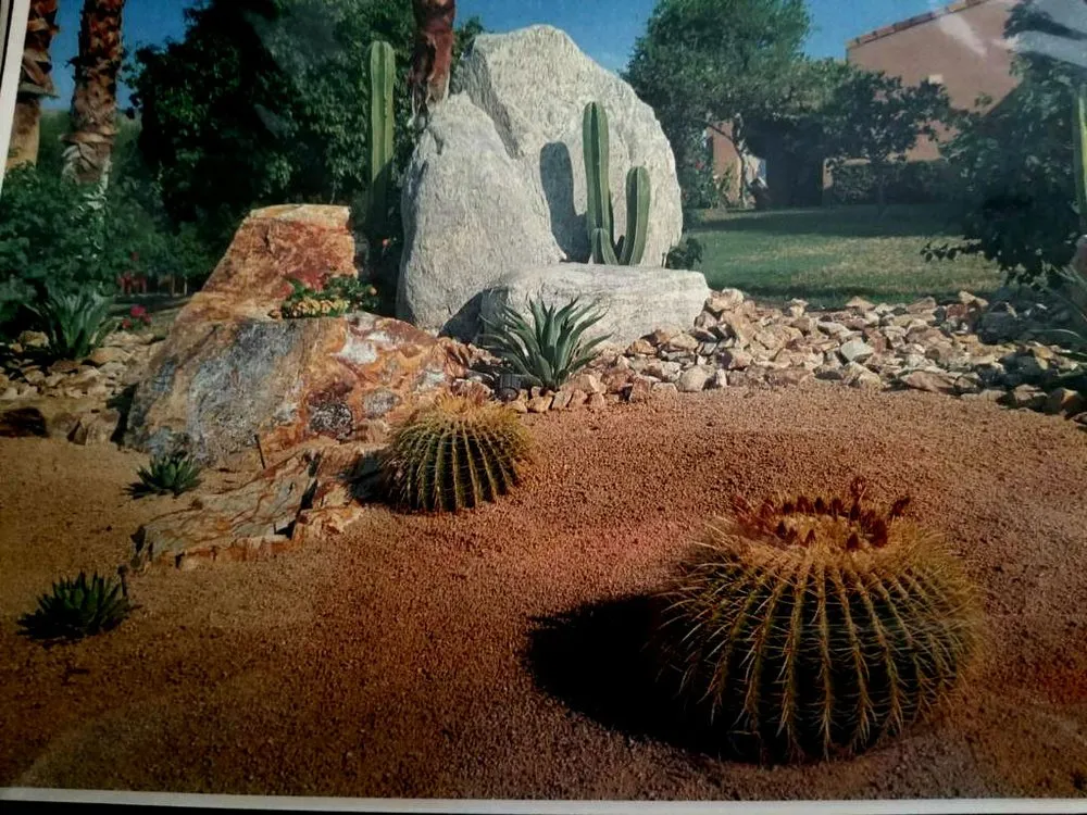 Expert residential landscaping for residential properties in Cathedral City, CA by Montez Landscaping