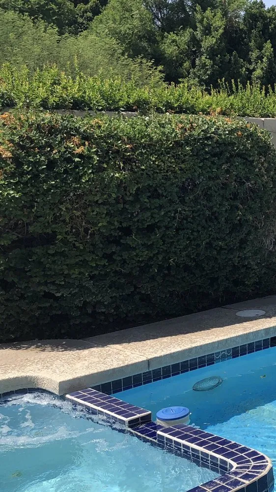 Local residential landscaping in Cathedral City, CA - Montez Landscaping