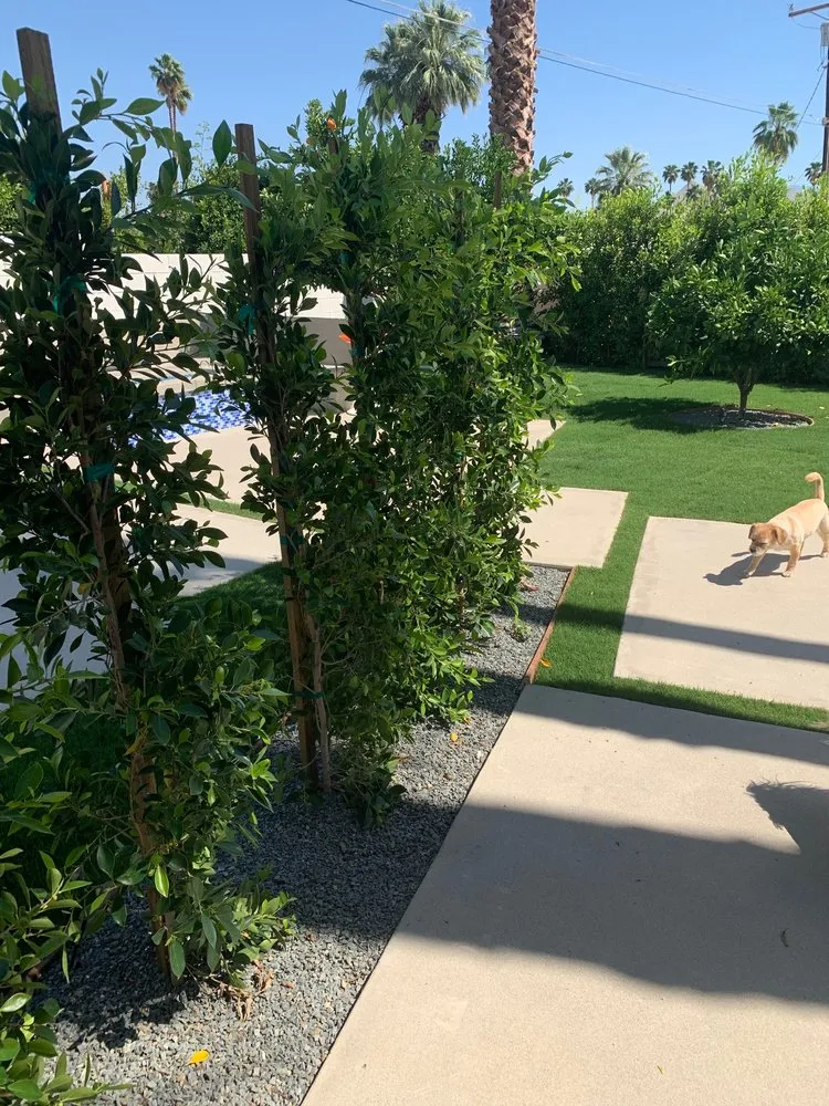 Local garden landscaping for year-round maintenance in Cathedral City, CA by Montez Landscaping